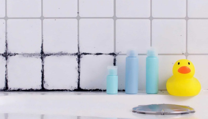 Baño con moho y un patito de goma